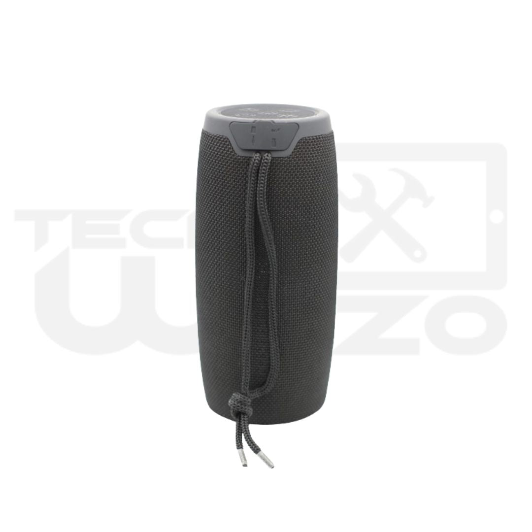Haut-parleur sans fil TG-317