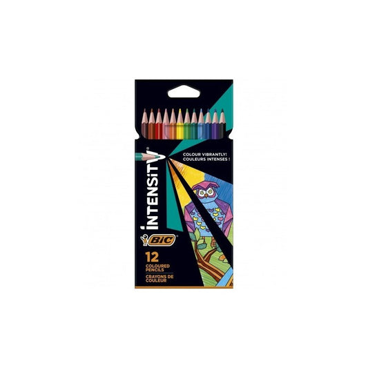CRAYON COULEUR DE 12 GM BIC INTENSITY REF : 9505272/9157